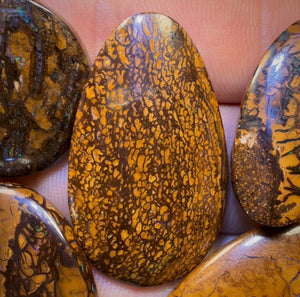 159.1cts - 5x Australian Tribal Boulder Opal’s. Wholesale Dealers Parcel