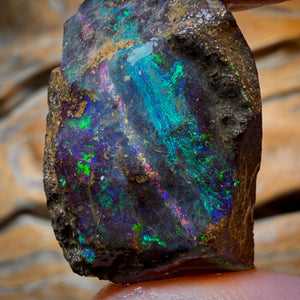 Dad Card! 39.4cts - Queensland Boulder Seam Opal Rough Piece. Natural Split