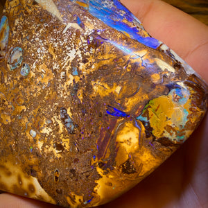 755.5cts - Vegetation Fossil Queensland Boulder Opal. Polished Specimen