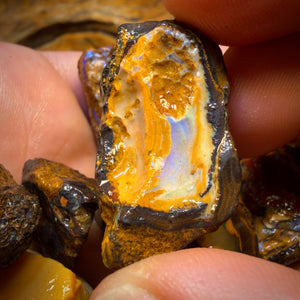 🔨 AUCTION 🔨 465cts - 11x Yowah Nut Rough Opal Parcel. Australian Boulder Opal