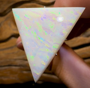 14.6cts - 35+ Yr Old GEM South Australian White Opal, Large Stone - Opal Whisperers
