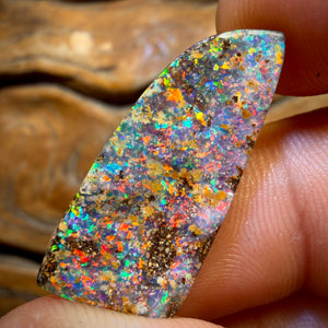 29.9cts - Top Australian Boulder Seam Opal Pair Red Multi Fire