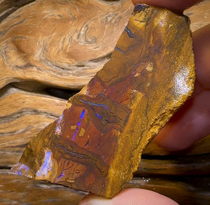 260cts - Queensland Boulder Opal Rough Piece