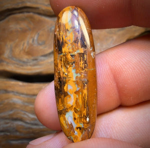 22.1cts - Yowah Nut Opal. Australian Opal