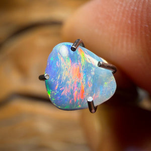 0,2 ct - Opale fossile de coquillage polie d'Australie du Sud