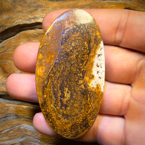 248.8cts - Large Tribal Queensland Boulder Opal from Yowah $1/ct Massive Cut Stone