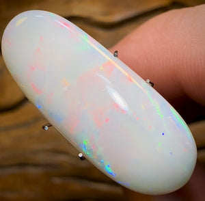 9.7cts - Large South Australian White Opal - Opal Whisperers