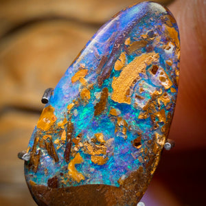 2.8cts - Wood Fossil Replacement Boulder Opal from Yowah