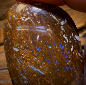 177.1cts - Queensland Boulder Opal from Yowah