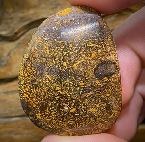 128.7cts - Yowah Nut Opal. Tribal Framed Crystal Centre Amazing Pattern - Opal Whisperers