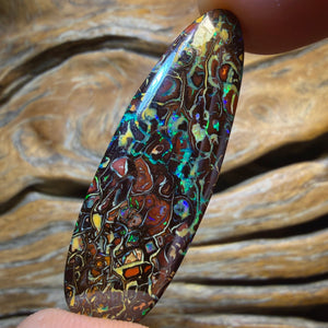 34.7cts - TOP Tribal Queensland Boulder Opal from Koroit. Double Sided