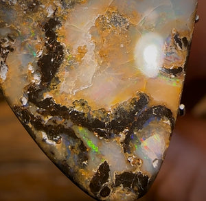 Auction Fall-Through = Your Gain! 🔥 Now More Than 50% Off RRP 🚨 19.3cts - Queensland Boulder Seam Opal BARGAIN