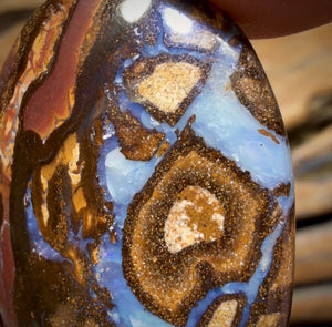 53.3cts - Queensland Boulder Opal from Yowah