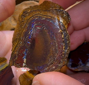 193.1g - 7x Koroit Nut Rough Opal Parcel - Opal Whisperers
