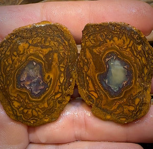 185.2cts - Yowah Nut Rough Specimen Pair. Australian Boulder Opal - Opal Whisperers