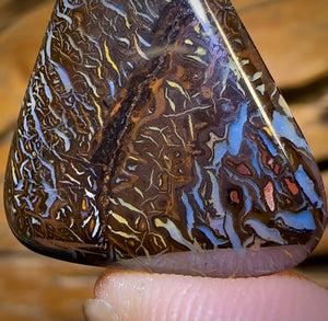 22.6cts - “Deep Forrest’s Fears” Tribal Queensland Boulder Opal Picture Stone