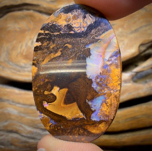 52.8cts - Queensland Boulder Opal from Yowah