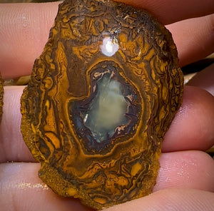 185.2cts - Yowah Nut Rough Specimen Pair. Australian Boulder Opal - Opal Whisperers