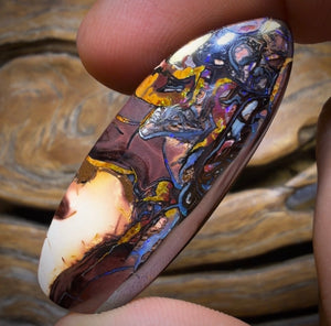 60.6cts - Tribal Queensland Boulder Opal from Koroit with Gold