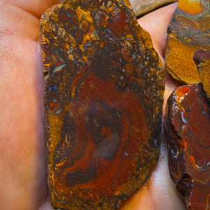 1455cts - 6x Koroit Nut Tribal Opal Rough Parcel. Australian Boulder Opal