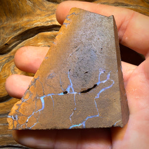 593cts - Massive Queensland Boulder Seam Opal Rough Piece
