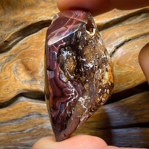 448.4cts - “To Cut or Not To Cut” Yowah Nut Kernel Opal. Polished Specimen