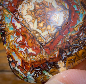 68.1cts - Top Tribal Yowah Nut Opal. Australian Opal