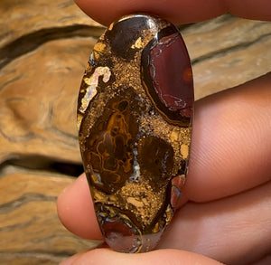 59.6cts - “Fruit cake” Koroit Nut Conglomeration Queensland Boulder Opal - Opal Whisperers