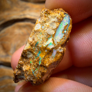 33,1cts - Boulder Pfeifenopal Rohstück. Australischer Opal