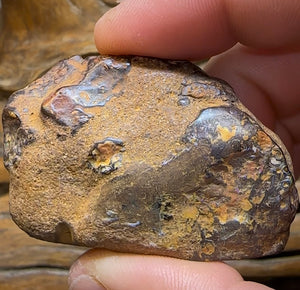 248cts - Australian Yowah Boulder Opal Kernel Specimen with Tribal - Opal Whisperers