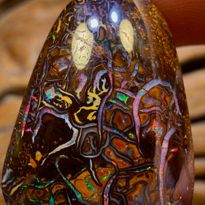 69.3cts - TopTribal Queensland Boulder Opal from Yowah Red Multi