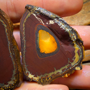 Roadshow Wildcard! 422cts - RARE Yowah Nut Kernel Opal Rough Specimen Pair