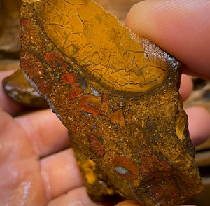 337.3cts - 3x Yowah Nut Rough Opal Parcel. Queensland Boulder Opal - Opal Whisperers