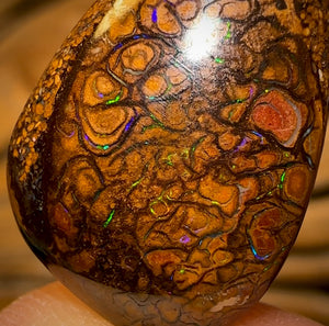 11.7cts - Tribal Queensland Boulder Opal from Yowah