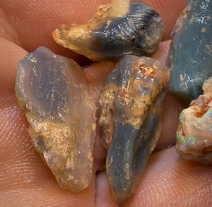 57.9cts - 9x Opalised Fossil Geological Specimens from Lightning Ridge