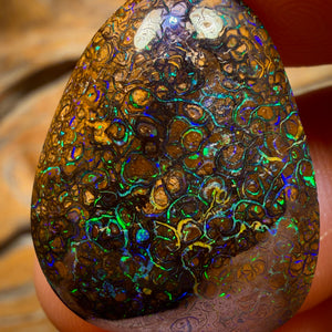 22.1cts - Tan Tribal Queensland Boulder Opal from Yowah. Electric Colour