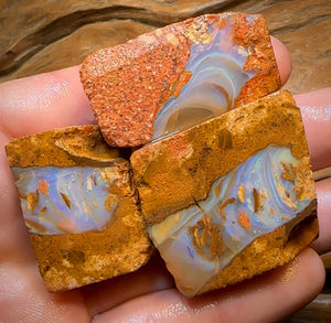 323.9cts - 3x Queensland Boulder Pipe Opal Rough Parcel