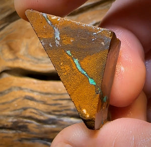 57.1cts - Queensland Boulder Wood Fossil Opal Preform Rub