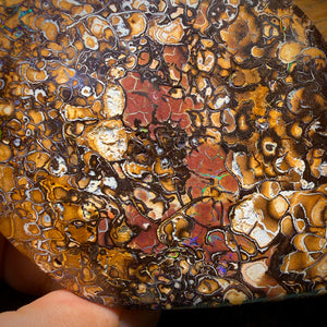 2082cts - HUGE Tribal Australian Boulder Opal Polished Specimen