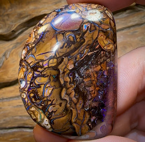 156.7cts - Large Yowah Nut Tribal Opal - Opal Whisperers