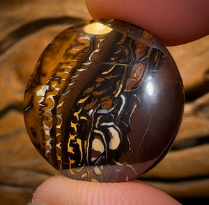 35.5cts - Queensland Boulder Opal from Koroit