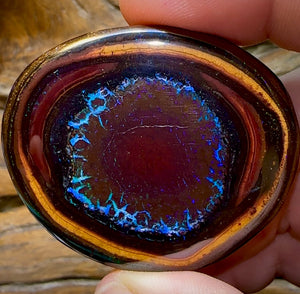 212.3cts - “Mystic Eye”Polished Yowah Nut Opal Specimen - Opal Whisperers