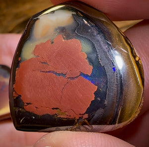 83.6cts - Yowah Nut Kernel Opal Polished Specimen Pair - Opal Whisperers