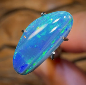 1.6cts - Opal Fossil Pipi Shell Australian Boulder Doublet - Opal Whisperers
