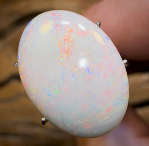 7.6cts - BIG South Australian White Opal BARGAIN