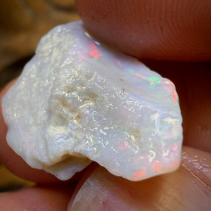 12.7cts - South Australian White Opal Rough Piece