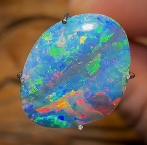 2.5cts - Australian Boulder Opal Doublet from Super Rare Old School Fossil Pipì Shell - Opal Whisperers