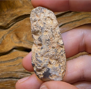 80.2cts - “There’s Something Special Going On” Lightning Ridge Black Crystal Opal Fossil Specimen. - Opal Whisperers