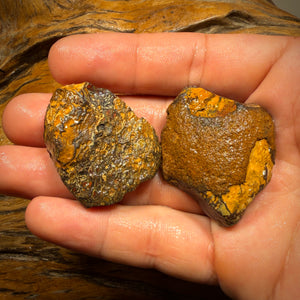 🔨 AUCTION 🔨 221.6cts - Yowah Nut Crystal Centre Rough Specimen Pair
