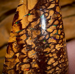 63.9cts - Tribal Queensland Boulder Opal from Yowah